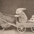 retro easter bunny photo