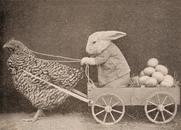 retro easter bunny photo